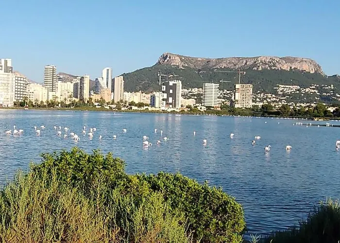 Апартаменты Mirador De Calpe. With Panoramic Views.
