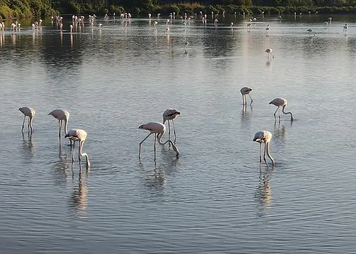 Mirador De Calpe. With Panoramic Views.