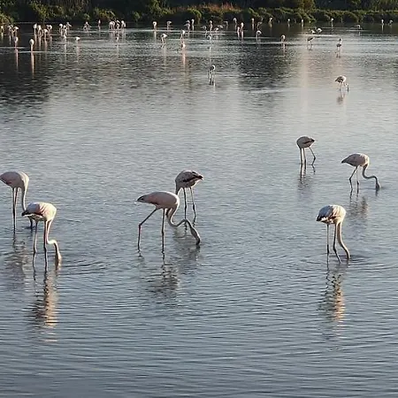 Mirador De Calpe. With Panoramic Views.